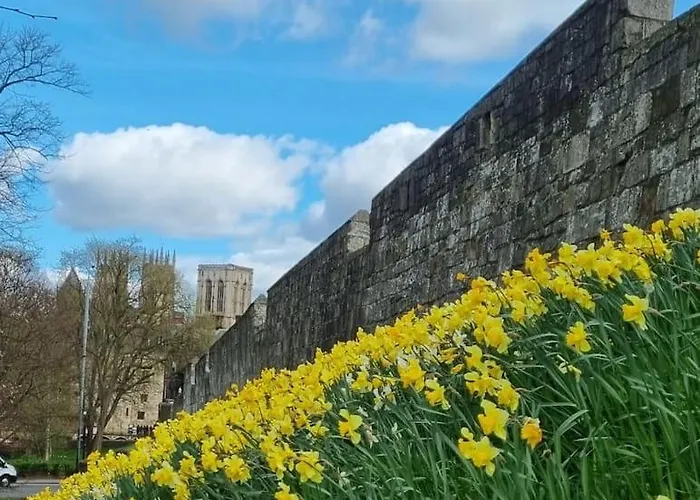 Апартаменты The Old Chapel